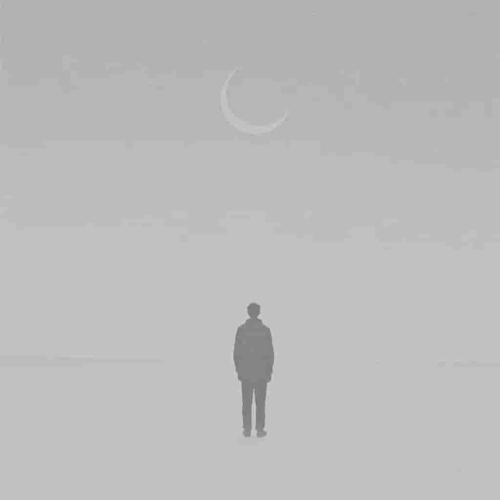 Muted Minimalist Monochrome 1